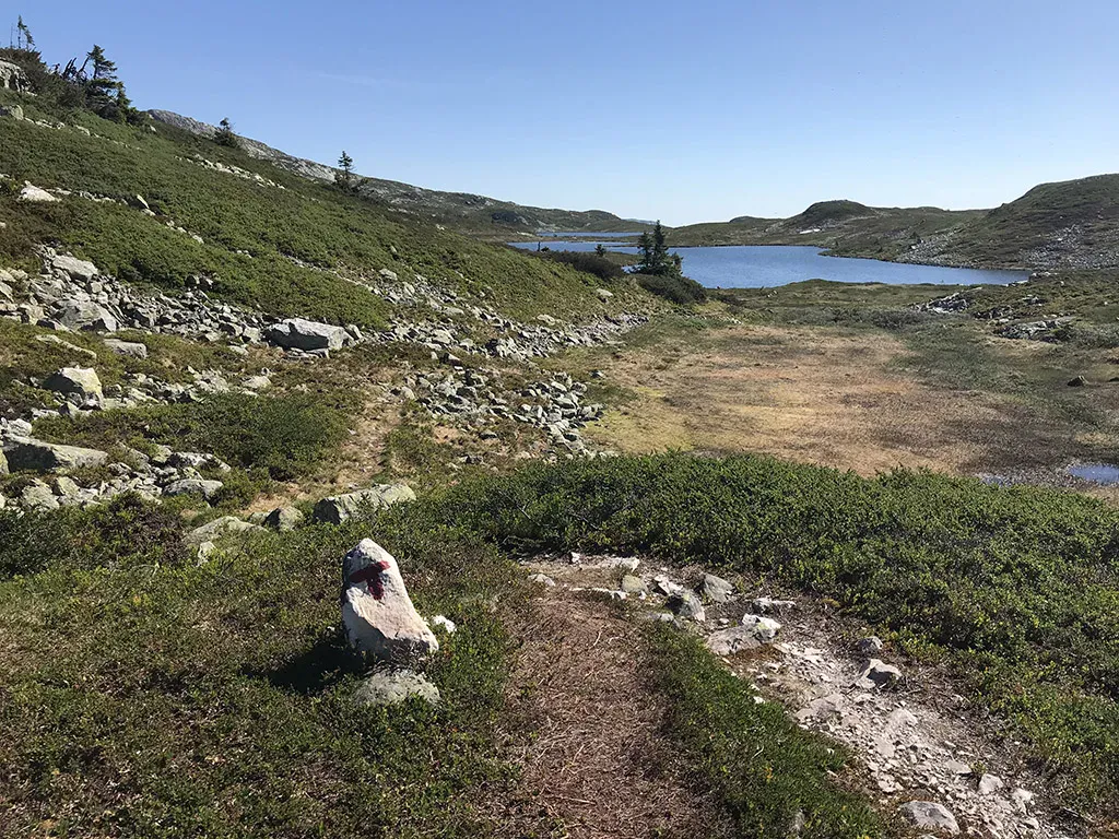 Fjellvatn