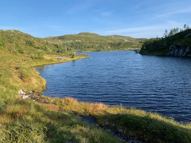 Tvitjønn
