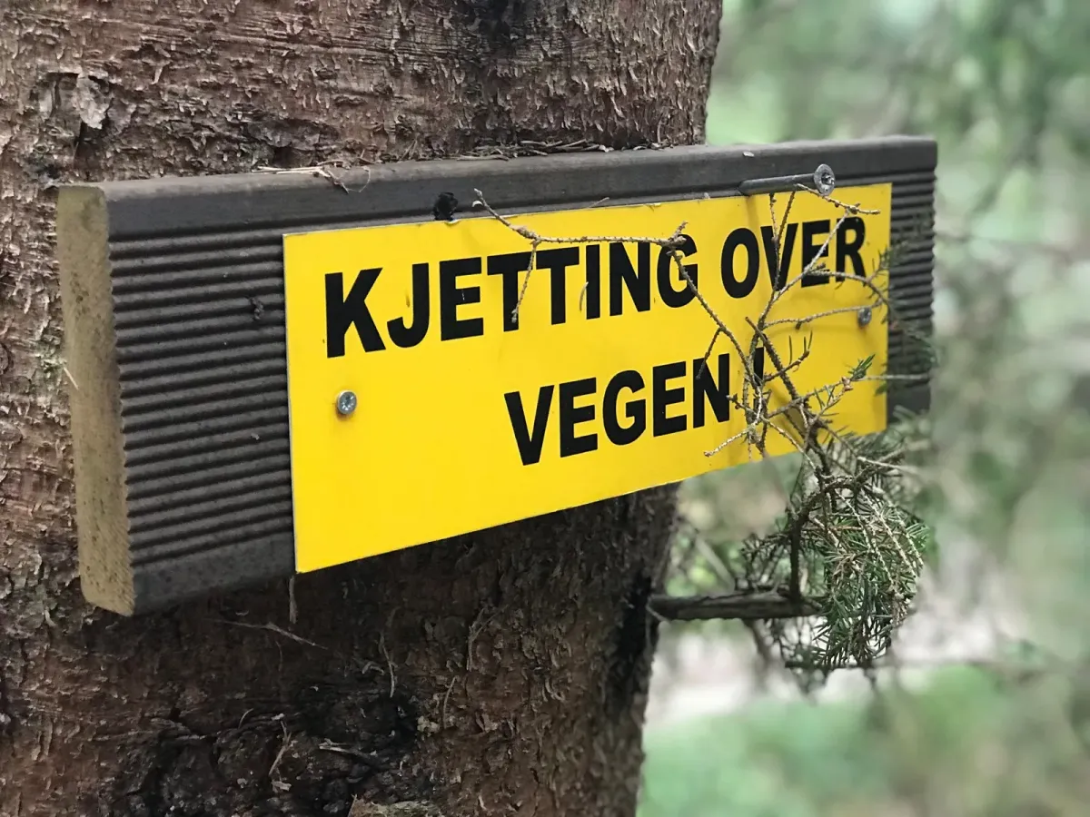 Mot Mannslagaren