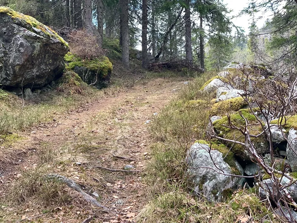 Skarsvegen